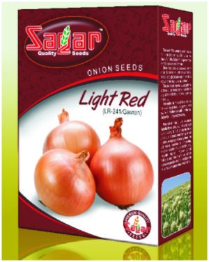 Sagar Light Red Onion