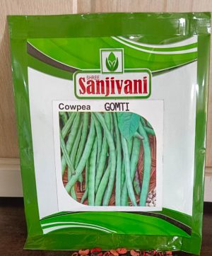 Sanjivani Gomti Cowpea (Chawla Phali)