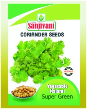 Sanjivani OP SUPER GREEN Dhaniya