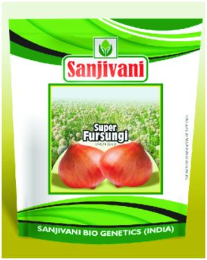 Sanjivani Super Fursungi Onion Seeds