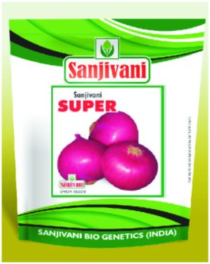 SANJIVANI SUPER Red Onion