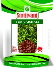 SANJIVANI VAISHALI TUR