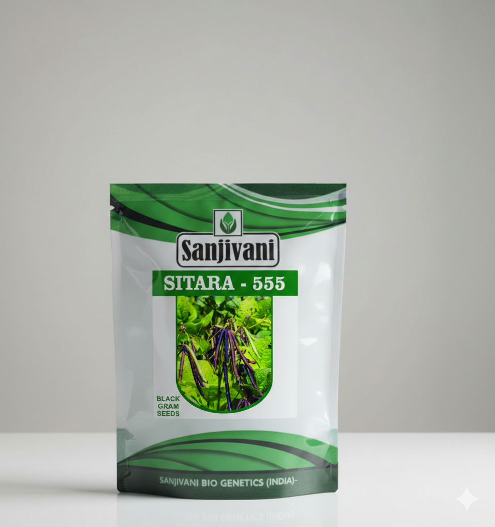 Sitara-555 Moong Seeds
