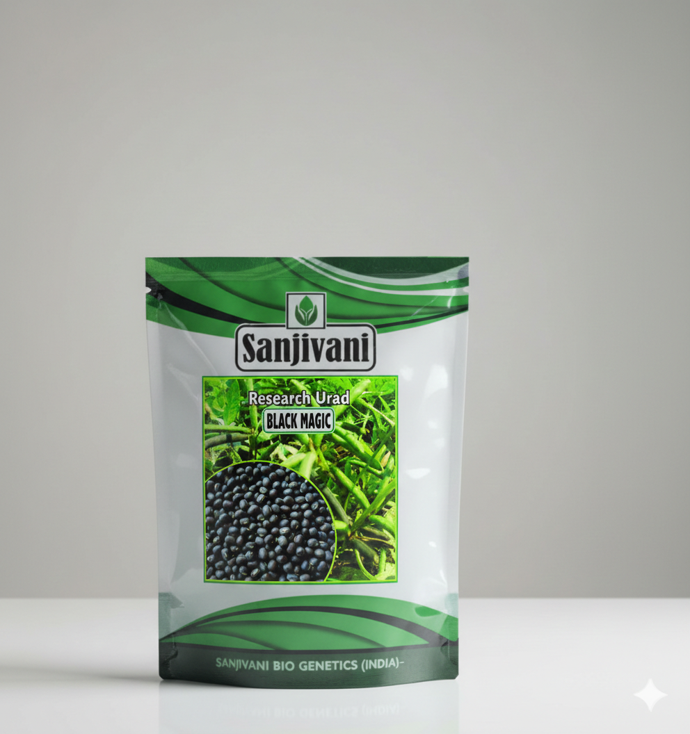 Black Magic Urad (Black Gram) Seeds