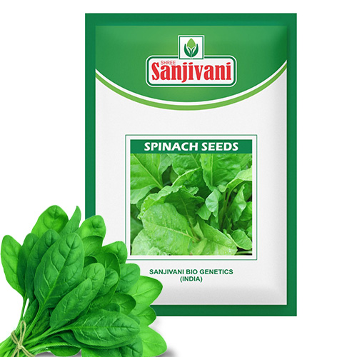Spinach (Palak) Kitchen Garden Seed Packet