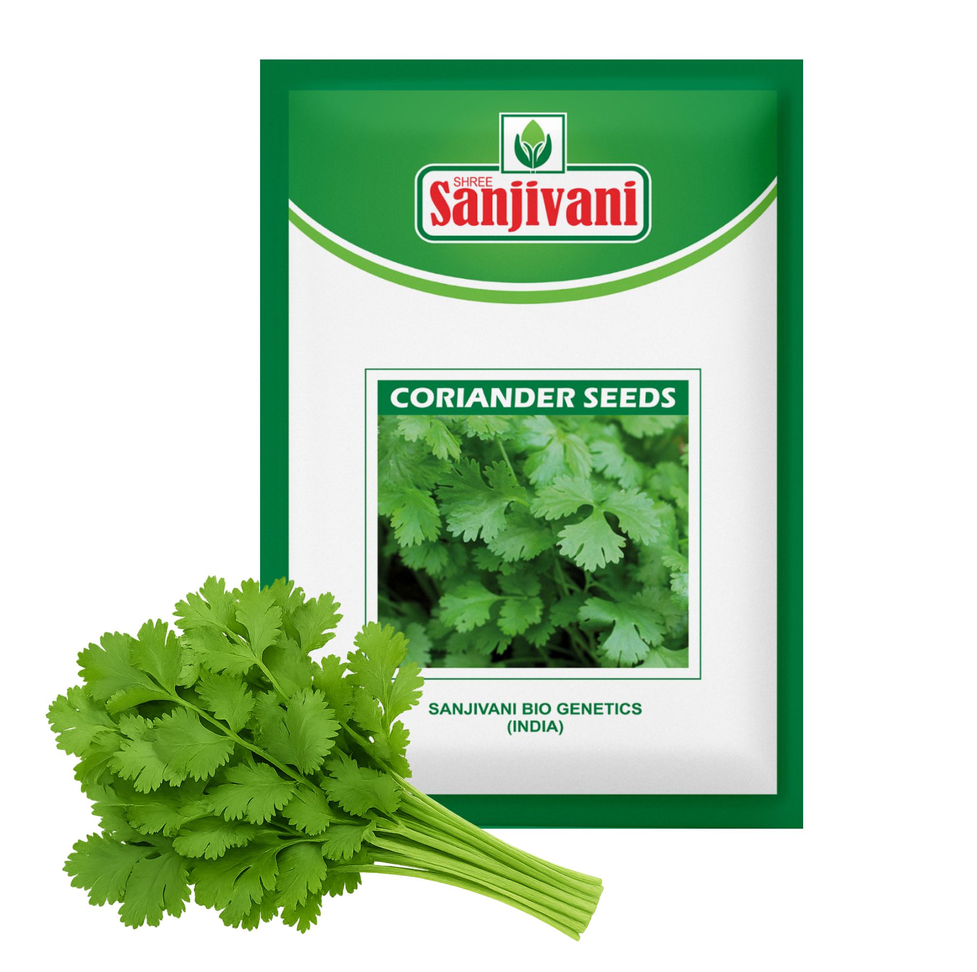 Coriander (Dhaniya) Kitchen Garden Seed Packet