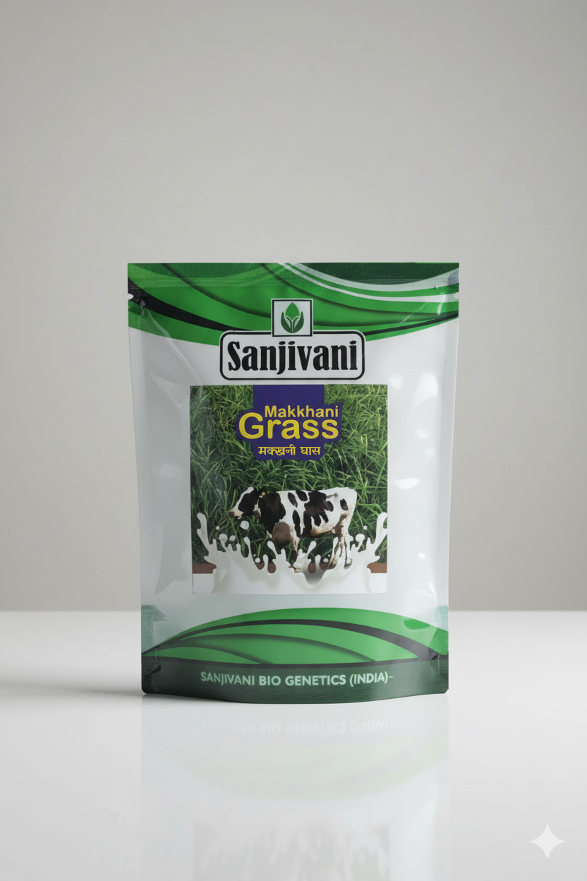 Makkhani Grass Seeds