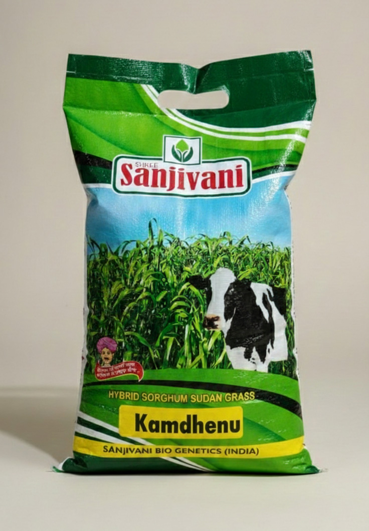 Kamdhenu – Hybrid Sorghum Sudan Grass | 5 KG Pack
