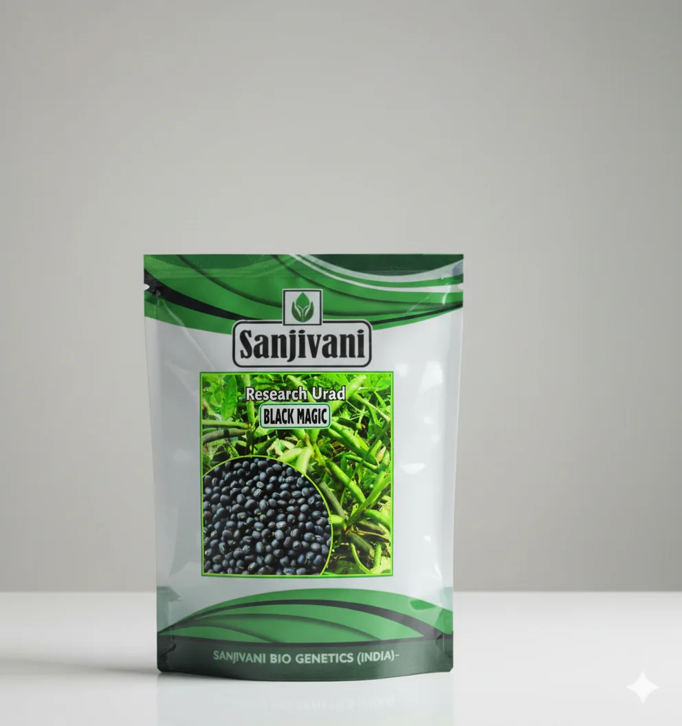 Black Magic Urad (Black Gram) Seeds