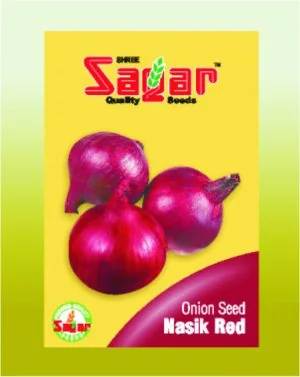 Sagar Nasik Red Onion