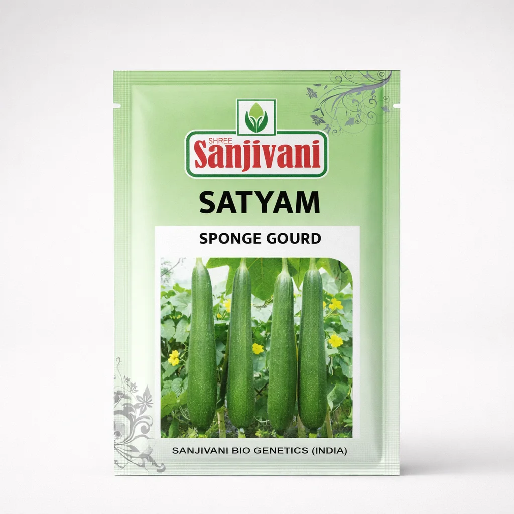 Satyam Hybrid Sponge Gourd Seeds (Gilki) | 25 Gm Pack