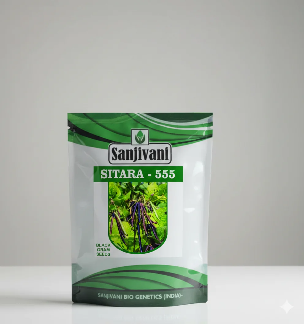 Sitara-555 Moong Seeds
