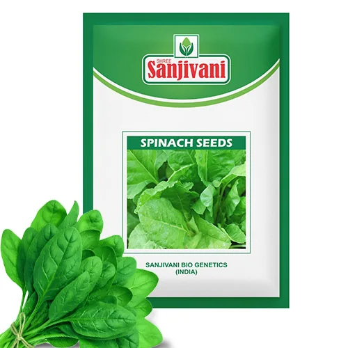 Spinach (Palak) Kitchen Garden Seed Packet