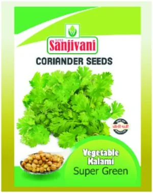 Sanjivani OP SUPER GREEN Dhaniya